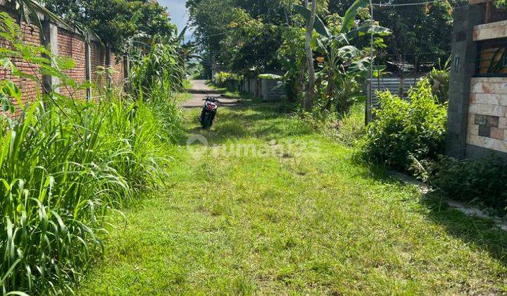 Rumah baru lantai 2 di Montong Sandik  2