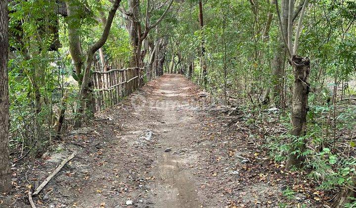 Tanah kapling di Gili Trawangan dekat Pondok Santi  1