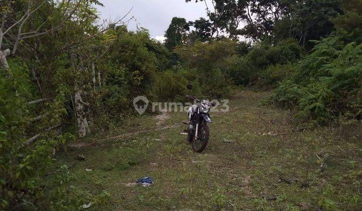 Tanah Pinggir Pantai Jelenga Sumbawa Barat 7