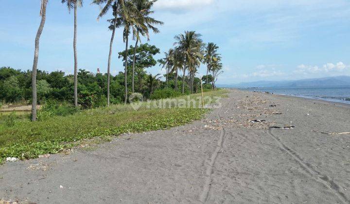 Tanah murah pinggir pantai Kuranji dekat Gunung Pengsong Lombok Barat 2