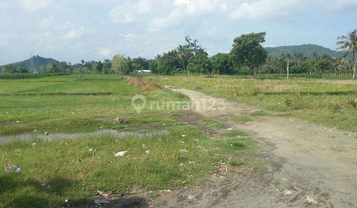 Tanah murah pinggir pantai Kuranji dekat Gunung Pengsong Lombok Barat 7