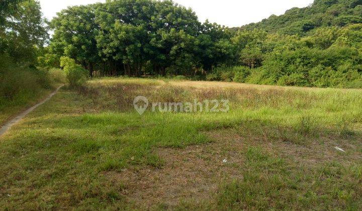 Tanah Premium Pinggir Pantai Pasir Putih di Sekotong 3