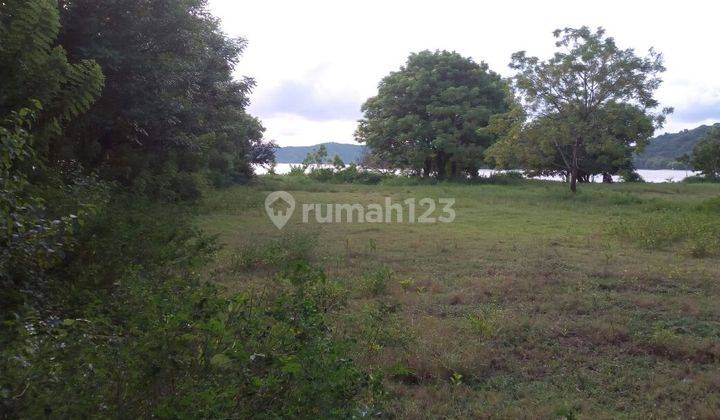 Tanah Premium Pinggir Pantai Pasir Putih di Sekotong 4