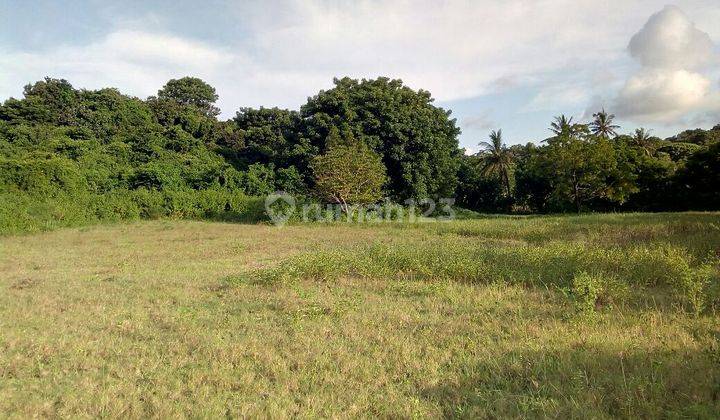 Tanah Premium Pinggir Pantai Pasir Putih di Sekotong 5
