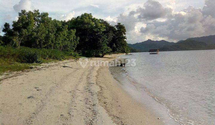 Tanah Premium Pinggir Pantai Pasir Putih di Sekotong 1