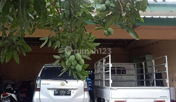 Rumah Dengan Kolam Renang Pribadi di Praya Timur Lombok 4