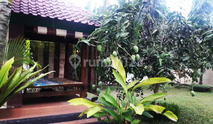 Rumah Dengan Kolam Renang Pribadi di Praya Timur Lombok 10