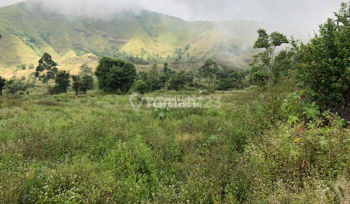 Tanah Kebun di Sembalun Lombok Timur  1