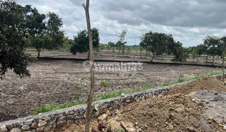 Tanah Pinggir Jalan Raya Bypass Bil Baru Lombok 2