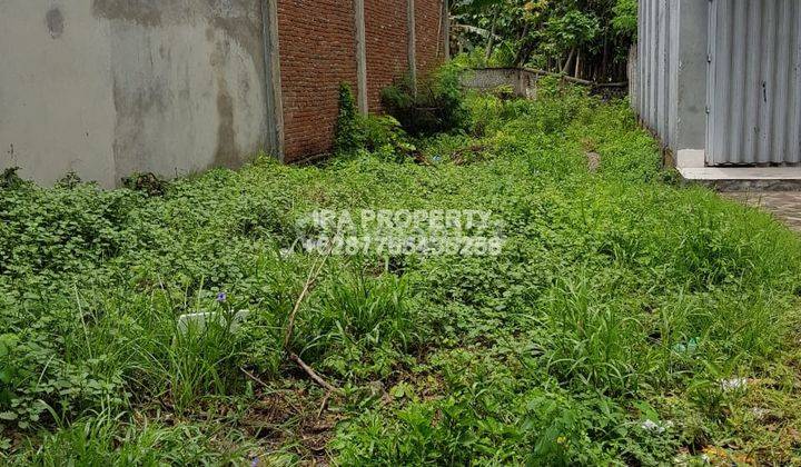 3 Lokal Ruko di Pringgabaya Lombok Timur  2