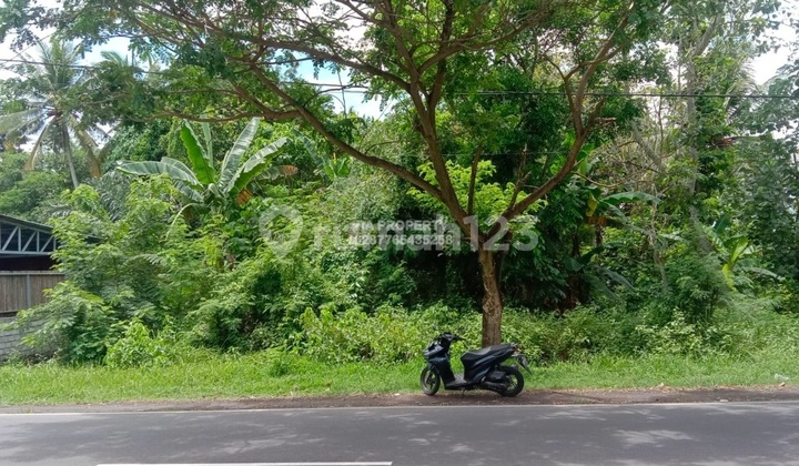 Tanah di Bypass Bil Labulie Cocok Untuk Gudang  3