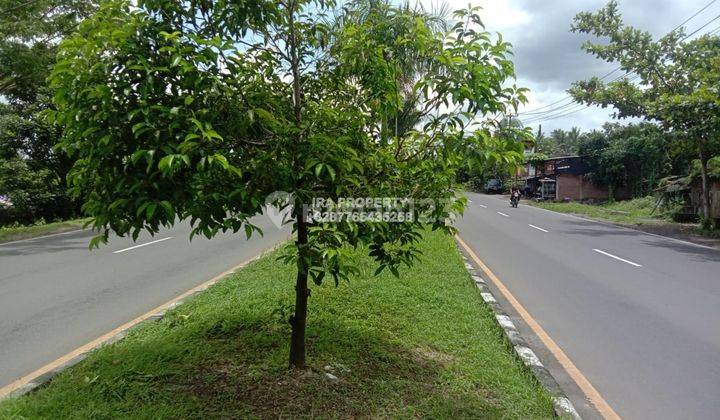 Tanah di Bypass Bil Labulie Cocok Untuk Gudang  4