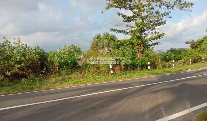Tanah Pinggir Pantai Sekotong 4