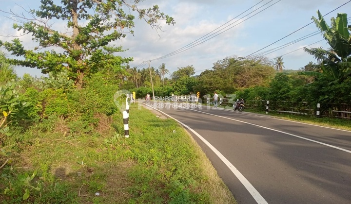 Tanah Pinggir Pantai Sekotong 7