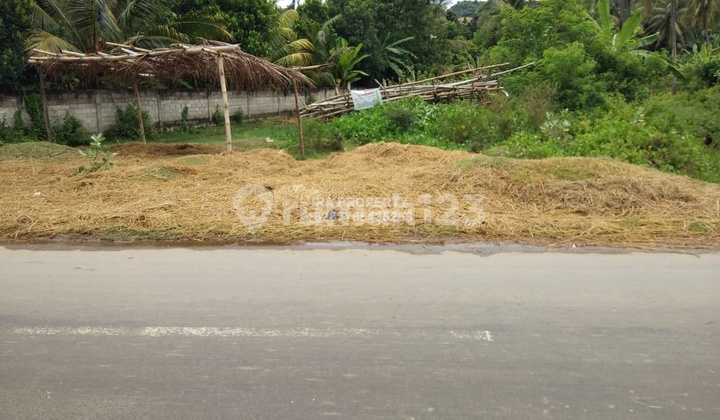 Tanah Pinggir Jalan Selong Belanak 7