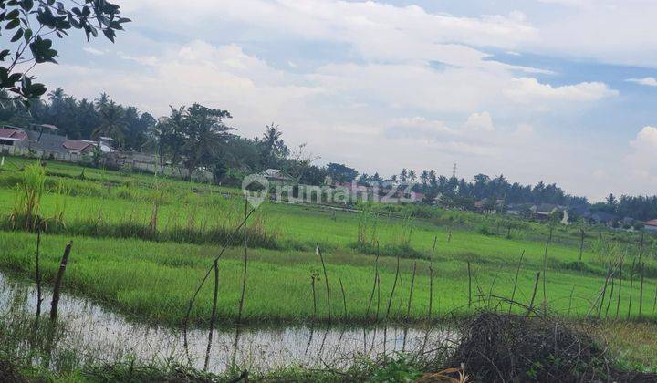 Tanah Kapling Dekat Smk 1 Batulayar Lombok Barat 1