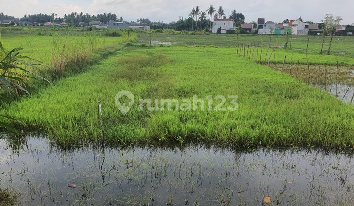 Tanah Kapling Dekat Smk 1 Batulayar Lombok Barat 2