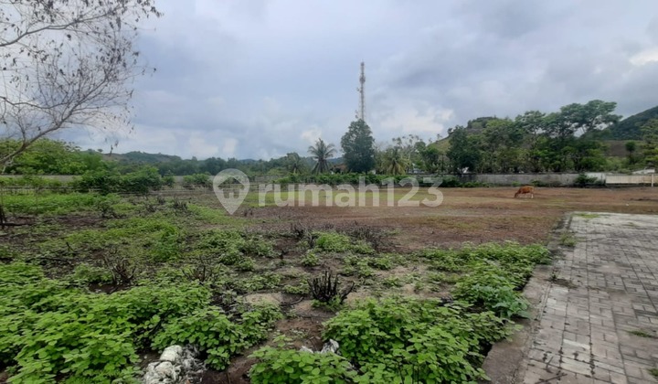 Tanah Pinggir Pantai Sekotong Lombok 4