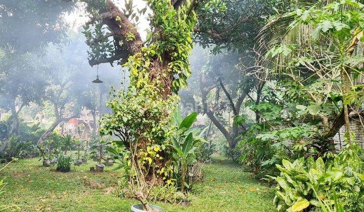 Tanah Pinggir Jalan Senggigi Dekat Asmara Restaurant  2