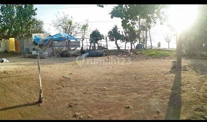 Tanah Pinggir Pantai di Gili Gede Sekotong Lombok Barat 1