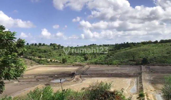 Tambak Pinggir Pantai Jerowaru Lombok Timur 1