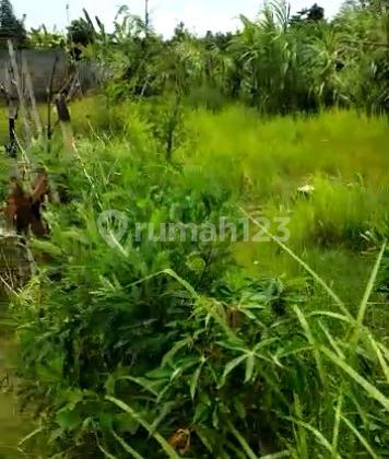 Tanah Kapling Dekat Jalan Lingkar Selatan 3