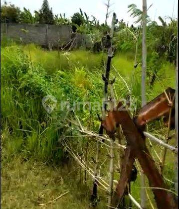 Tanah Kapling Dekat Jalan Lingkar Selatan 4