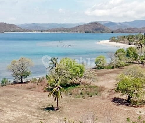 Tanah Premium Pinggir Pantai Pasir Putih di Sekotong 2