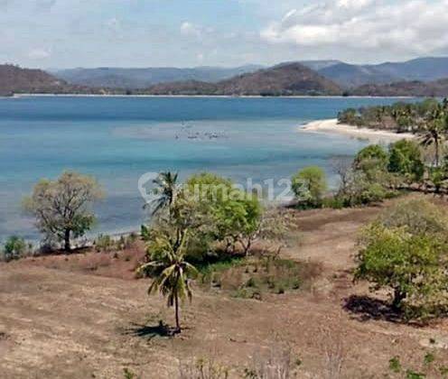 Tanah Premium Pinggir Pantai Pasir Putih di Sekotong 7