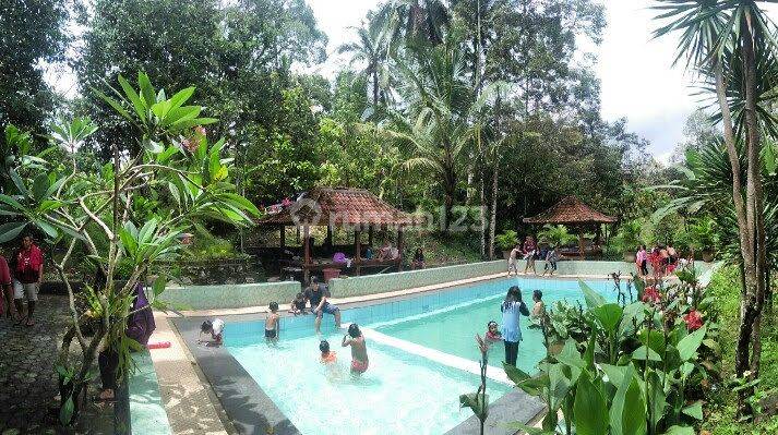 Tanah Kebun Sesaot Pinggir Jalan Raya  1