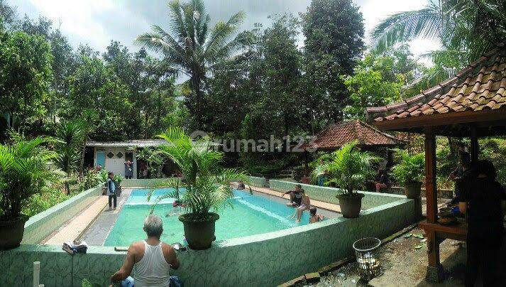 Tanah Kebun Sesaot Pinggir Jalan Raya  6