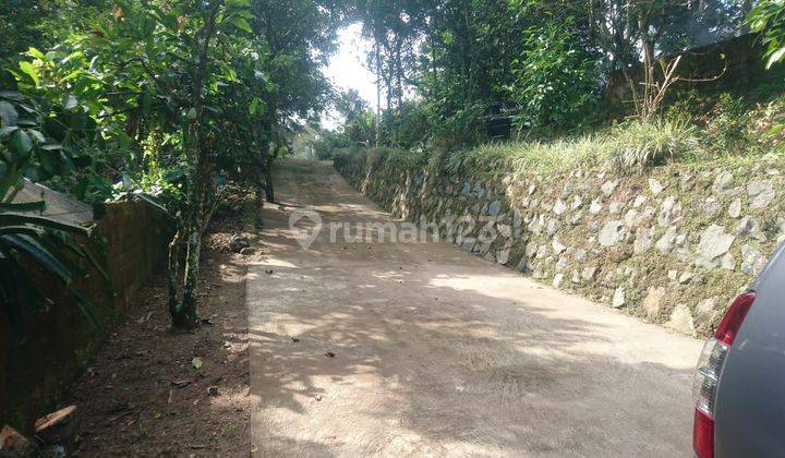 Tanah Kebun Sesaot Pinggir Jalan Raya  8
