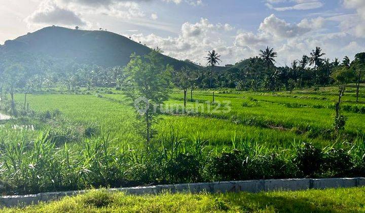 Tanah Bypass Kuta Mandalika Lombok  3