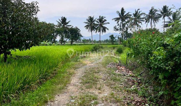 Tanah Bagek Polak Dekat Bengkel Cocok Untuk Perumahan  2