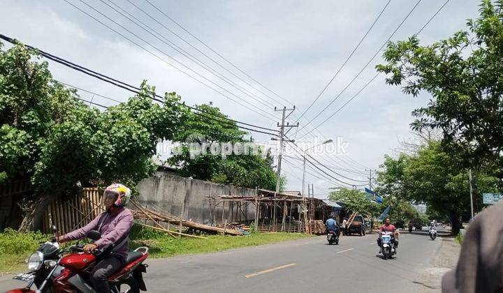 Tanah Pinggir Jalan Raya Gatep Ampenan  4