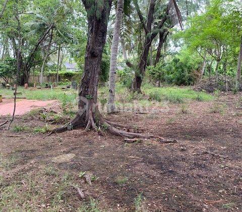 Tanah Dekat Pantai di Gili Trawangan Cocok Untuk Hotel  4