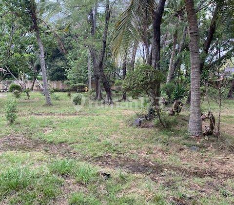 Tanah Dekat Pantai di Gili Trawangan Cocok Untuk Hotel  1