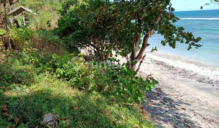 Tanah Premium Pinggir Pantai di Klui Dekat Senggigi  1