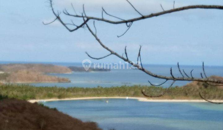 Tanah View Laut Dan View Kapal Pesiar di Teluk Kadinan Sekotong Lombok Barat 5