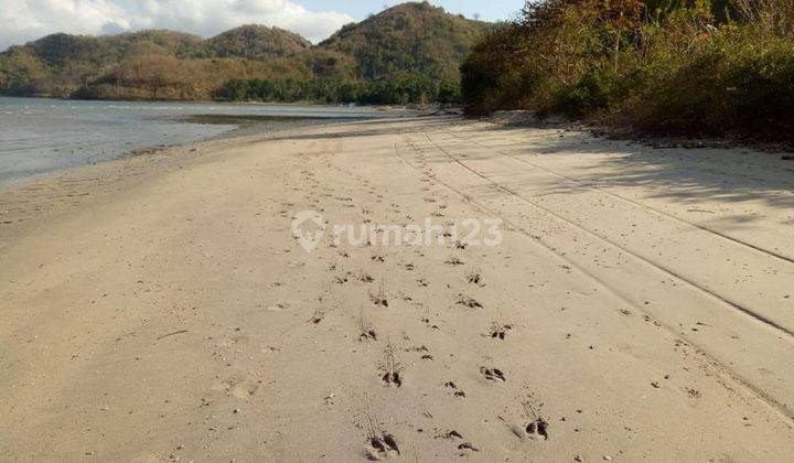 Tanah View Laut Dan View Kapal Pesiar di Teluk Kadinan Sekotong Lombok Barat 9
