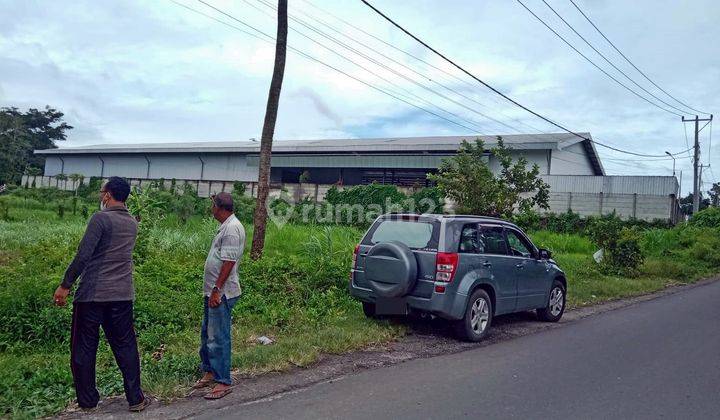 Tanah di Terare Lombok Timur Cocok Untuk Gudang 2