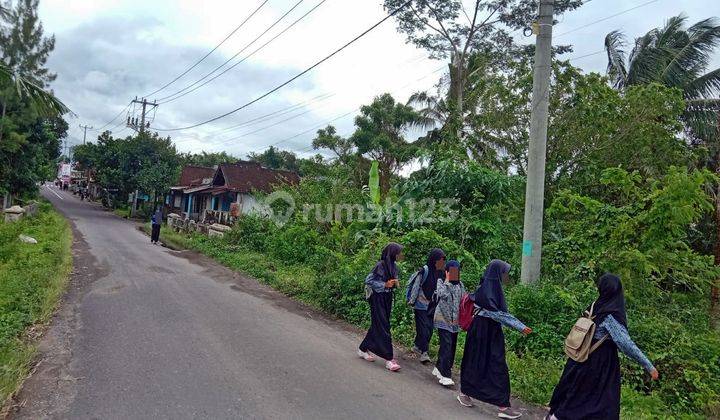 Tanah di Terare Lombok Timur Cocok Untuk Gudang 3