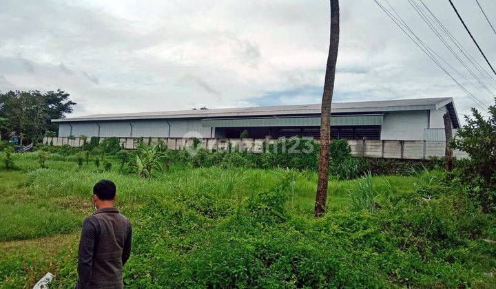 Tanah di Terare Lombok Timur Cocok Untuk Gudang 4