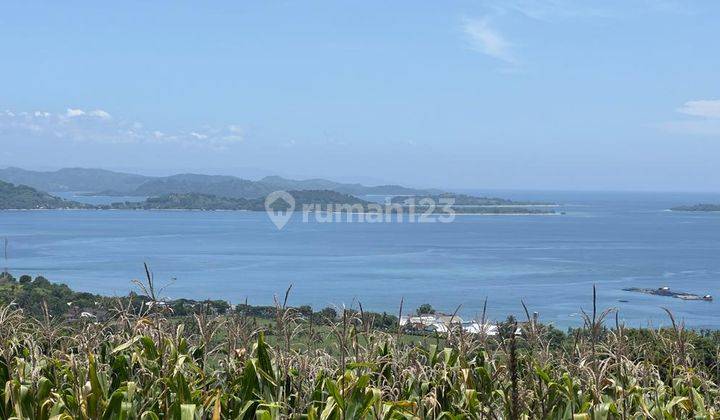 Tanah Lokasi Premium Dekat Sundancer Sekotong Lombok 6