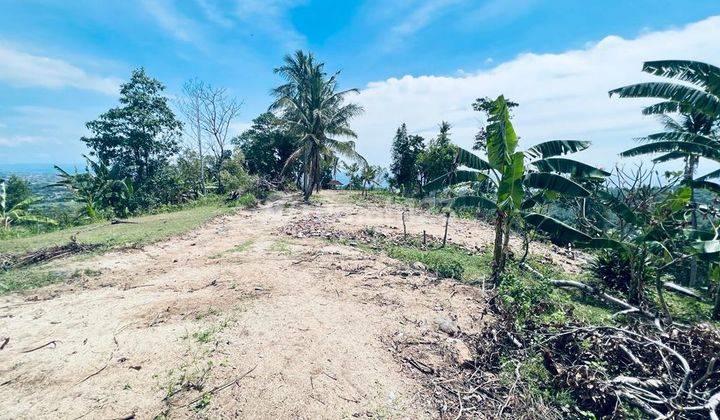 Tanah Diatas Bukit Bengkaung di Senteluk Batu Layar  3