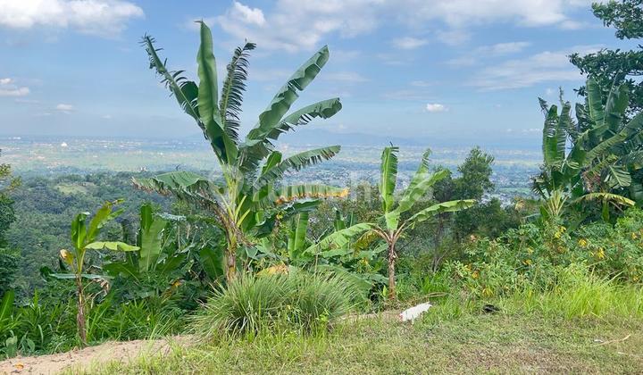 Tanah Diatas Bukit Bengkaung di Senteluk Batu Layar  4
