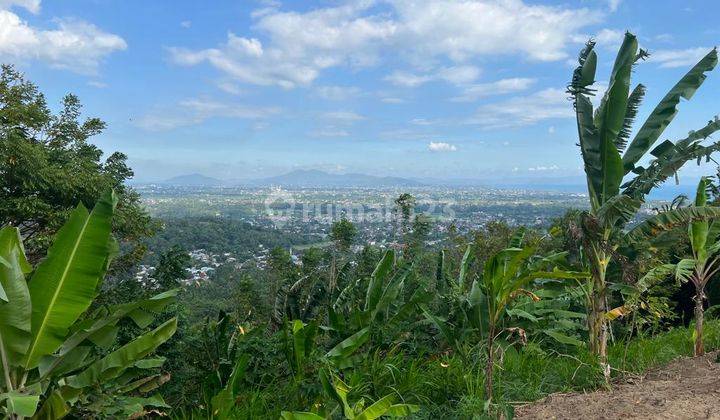 Tanah Diatas Bukit Bengkaung di Senteluk Batu Layar  6
