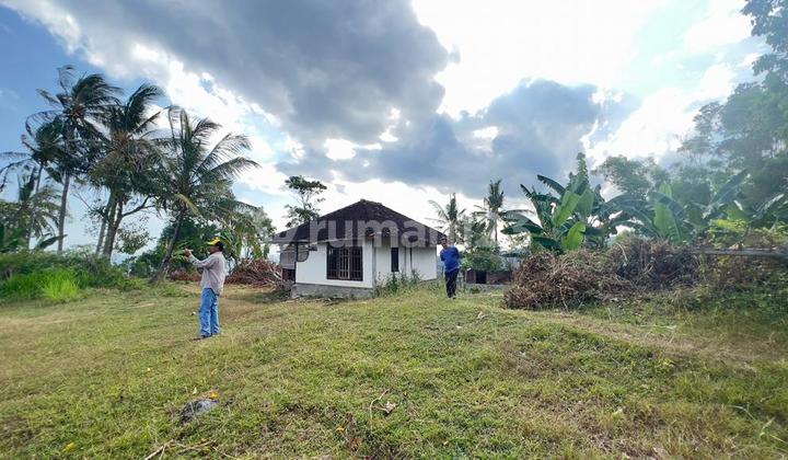 Tanah Diatas Bukit Bengkaung di Senteluk Batu Layar  8