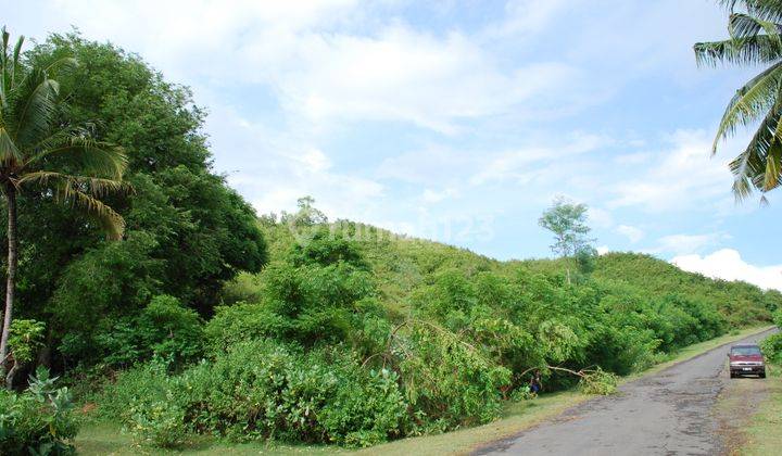 Tanah Lokasi Premium Pinggir Jalan View Laut Tampah Mawun  2