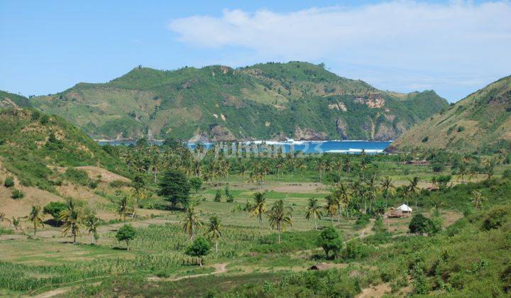 Tanah Lokasi Premium Pinggir Jalan View Laut Tampah Mawun  3